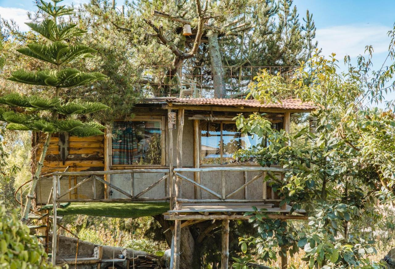 Campo Lago Hospedaje San Pablo Del Lago Dış mekan fotoğraf